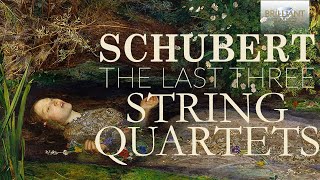 Schubert The Last Three String Quartets [upl. by Airbma264]