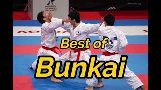 Best Of Bunkai Karate [upl. by Housum]