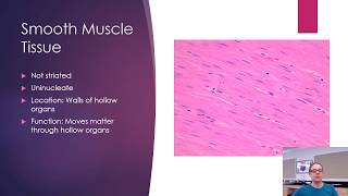 Histology  Bone and Muscle [upl. by Marcellus119]