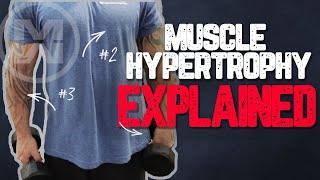 Muscle Hypertrophy Explained How to get MASSIVE Gains [upl. by Reeba644]