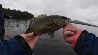 Umbagog lake bass fishing 2020 [upl. by Yenhoj]