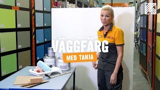 Måla väggar  Tips amp råd HORNBACH [upl. by Feldt338]