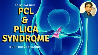 POSTERIOR CRUCIATE LIGAMENT amp Plica syndrome Knee Biomechanics [upl. by Lap]