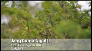 Naruwe  Jang Cuma Tagal II Official Lyrics Video [upl. by Anirhtak684]