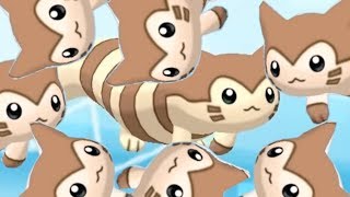 furret walk around the world [upl. by Kcinom]