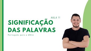 AULA 11  SIGNIFICAÇÃO DAS PALAVRAS [upl. by Nahc962]