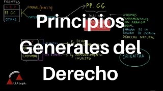 Principios Generales del Derecho TEORÍA DEL DERECHO [upl. by Bunder215]