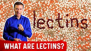 What Are Lectins – Dr Berg [upl. by Gorlin]