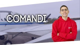 Come funzionano i comandi di un vero aereo [upl. by Cranston74]