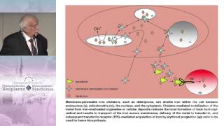 When and How to Use Iron Chelation Therapy in MDS [upl. by Eelaras]