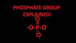 Phosphate functional group explained [upl. by Yednil]