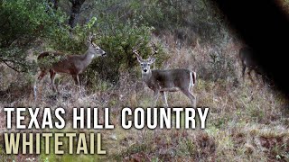 Hunting Whitetail in the Texas Hill Country [upl. by Newell802]