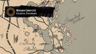 Carolina Parakeet Locations RDR2 Mission Guide [upl. by Halfon785]