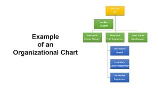 How to Create Organizational Chart in PowerPoint  StepbyStep Tutorial [upl. by Aihsitan]