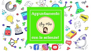 GLI ECOSISTEMI  SCIENZE Classe Terza [upl. by Narok]