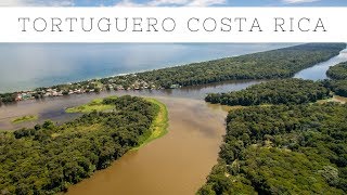 Visiting Tortuguero Costa Rica National Park Turtles and Canals [upl. by Gonyea538]