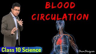 Life Processes 2  Blood Circulation  CBSE Class 10 X Science Biology  Toppr Study [upl. by Py]