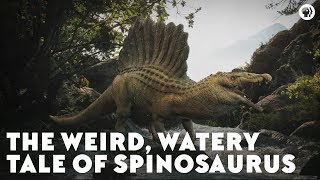 The Weird Watery Tale of Spinosaurus [upl. by Vierno]