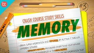 Memory Crash Course Study Skills 3 [upl. by Flagler]