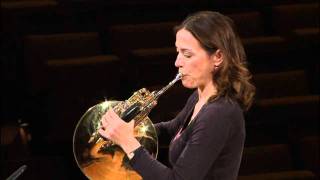 Berliner Philharmoniker Master Class  Horn [upl. by Lemmuela139]