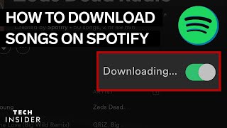 How To Download Music From Spotify 2022 [upl. by Austen]