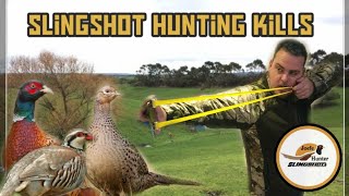 Slingshot hunting pheasant and partridge [upl. by O'Kelly535]