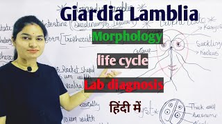 Giardia Lamblia  Morphology  Life Cycle  Lab Diagnosis  Giardiasis in hindi [upl. by Nodnyl]