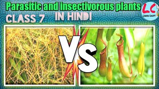 Parasitic and Insectivorous plants  Science  Class 7  in Hindi [upl. by Rustice65]