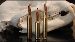 65 Creedmoor vs 270 vs 2506 The Results Might Surprise You [upl. by Zeta]