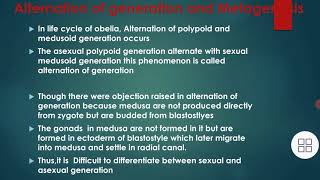 what is an alternation of generation or Metagenesis in obelia [upl. by Poler]