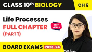 Life Processes Class 10 Full Chapter Part 1  CBSE Class 10 Biology Chapter 6 202223 [upl. by Naoj177]