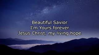 Living Hope  Instrumental with lyrics written by Phil Wickham amp Brian Johnson [upl. by Acinorej499]