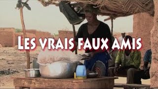 LES VRAIS FAUX AMIS [upl. by Ahtennek562]