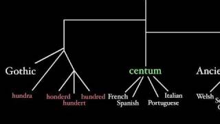 Latin and Its IndoEuropean Language Family [upl. by Buckden]