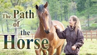 The Path of the Horse  Full Length documentary [upl. by Seeto404]