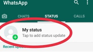 How To Fix Whatsapp Status Problem Solve [upl. by Regazzi748]