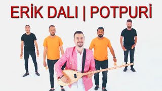 ERTAN ERŞAN  Erik Dalı  POTPURİ Official Video [upl. by Eirual]