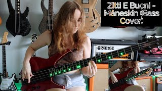 Zitti E Buoni  Måneskin Bass Cover [upl. by Normand]