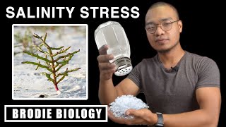 PLANT STRESS PHYSIOLOGY  SALINITY STRESS [upl. by Flita943]