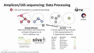 Introduction to Metagenomics for Researchers [upl. by Nahij775]