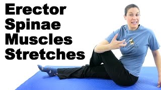 Erector Spinae Muscles Stretches  Ask Doctor Jo [upl. by Metabel]