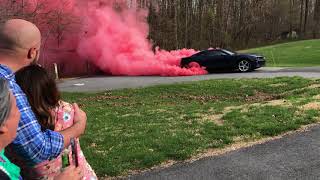 Epic Burnout at a GenderReveal Party [upl. by Guillaume252]