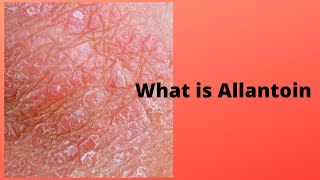 What is Allantoin [upl. by Halehs140]