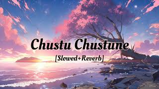 Chustu Chustune SlowedReverb [upl. by Dric]