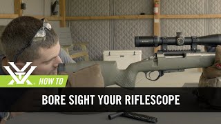 How To Bore Sight Your Rifle [upl. by Peggie]