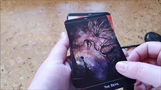 The Lost Forest Tarot Walkthrough [upl. by Selinda]