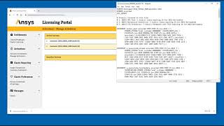 Ansys Licensing Managing Activations [upl. by Eednar441]