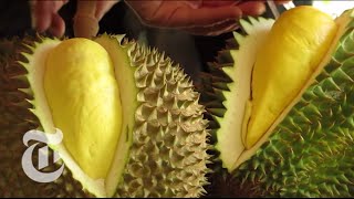 Durian  The Worlds Smelliest Fruit  The New York Times [upl. by Lerrud]