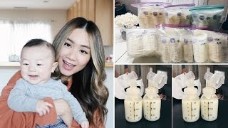 How I Pump 1200 ml of Breastmilk A Day  HAUSOFCOLOR [upl. by Lamb]