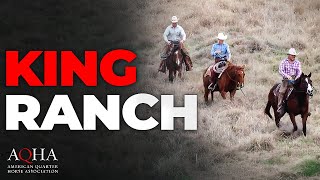 King Ranch Wins Top AQHA Honor [upl. by Atsedom]